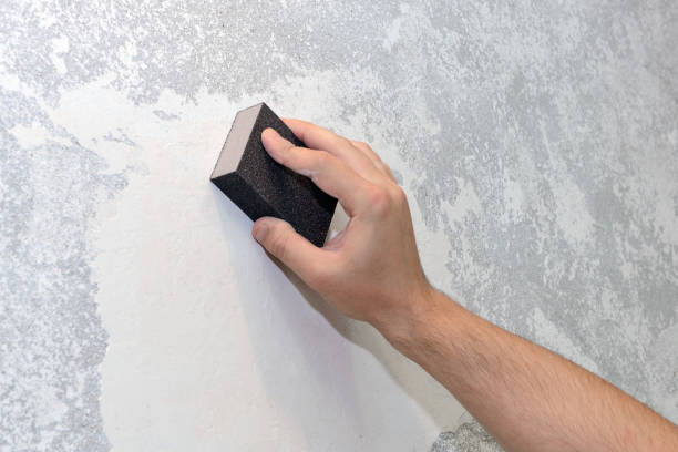 Best Real Estate Mold Inspection  in Liberty, MO