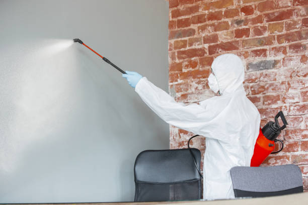 Best Post-Remediation Verification Testing  in Liberty, MO