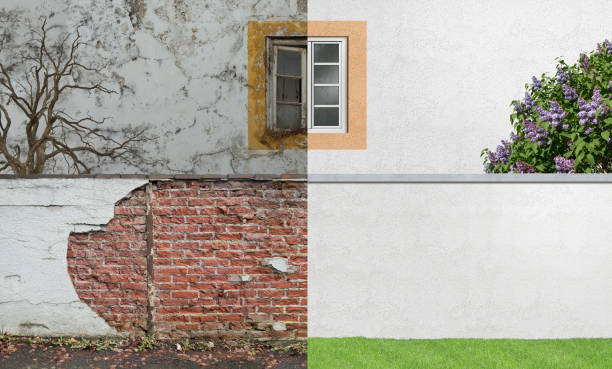 Best Commercial Mold Inspection  in Liberty, MO
