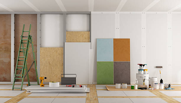 Best Basement Mold Removal  in Liberty, MO