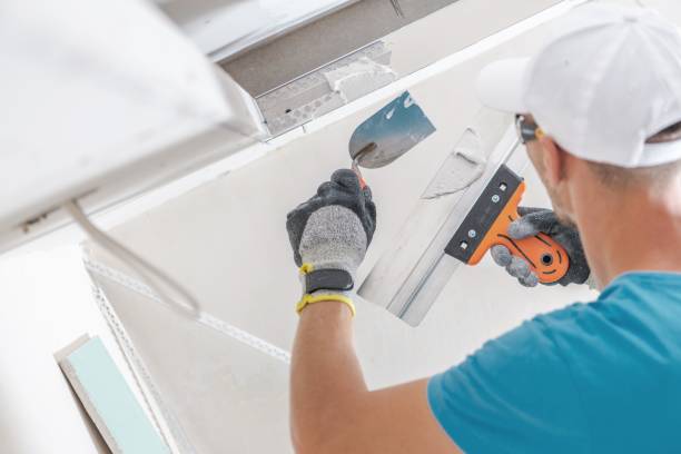 Best Black Mold Removal  in Liberty, MO
